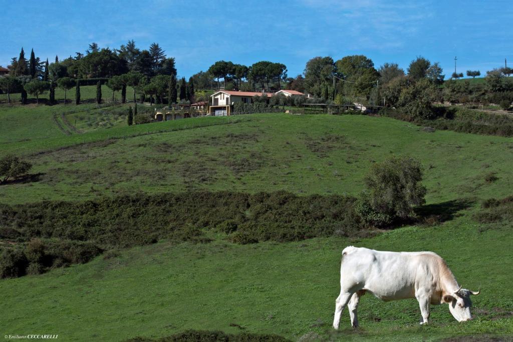Agriturismo Valle Siriaca Castelnuovo Di Porto Dış mekan fotoğraf